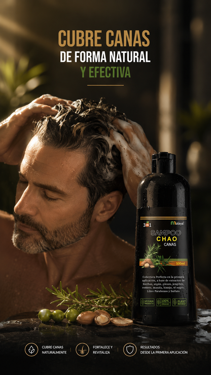 SHAMPOO CHAO CANAS 3 IN 1 + TRATAMIENTO