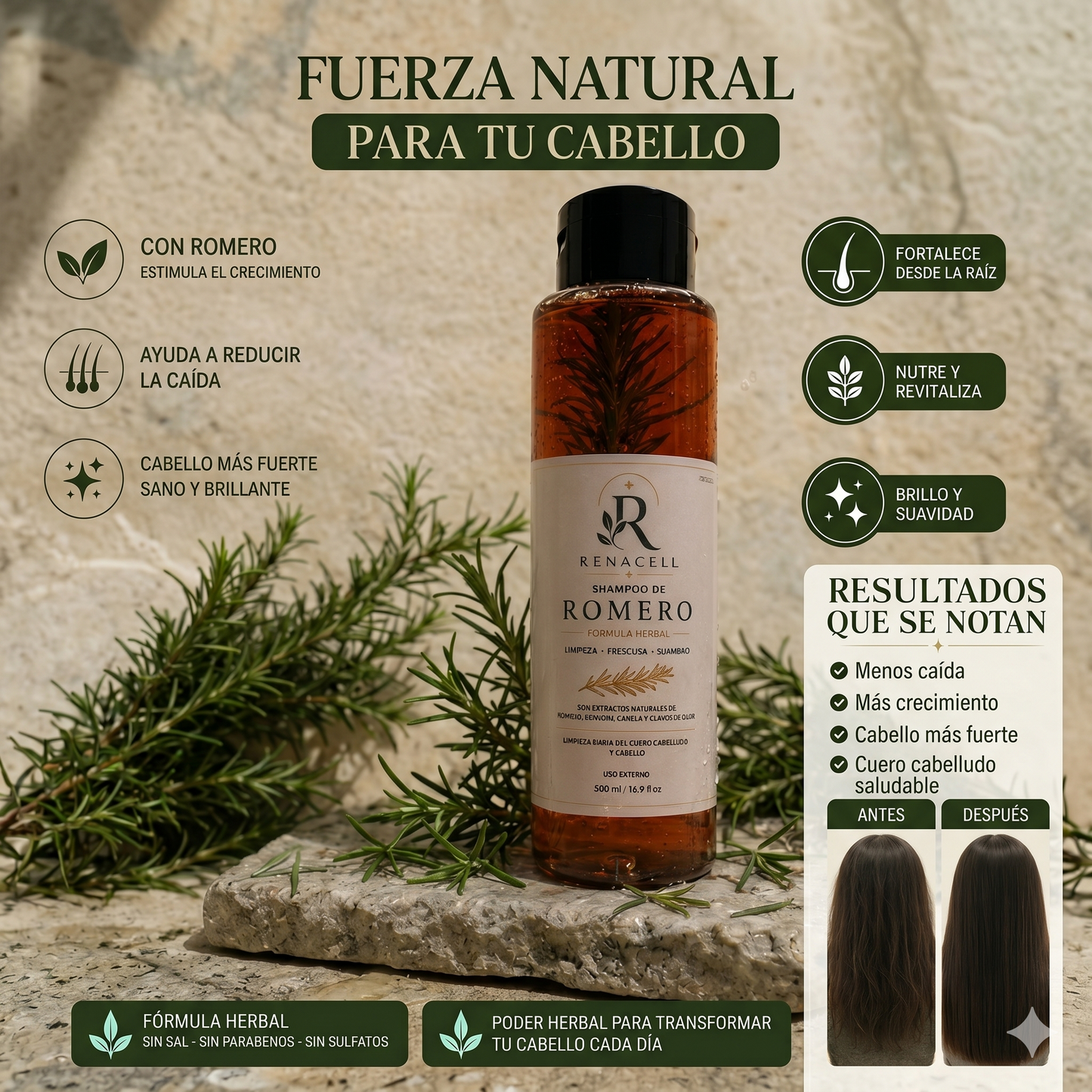 SHAMPOO DE ROMERO NATURAL RENACELL, FORTALECE TU RAÍZ Y DETÉN LA CAIDA DE TÚ CABELLO
