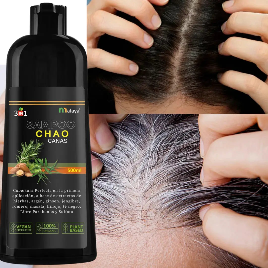 SHAMPOO CHAO CANAS 3 IN 1 + TRATAMIENTO